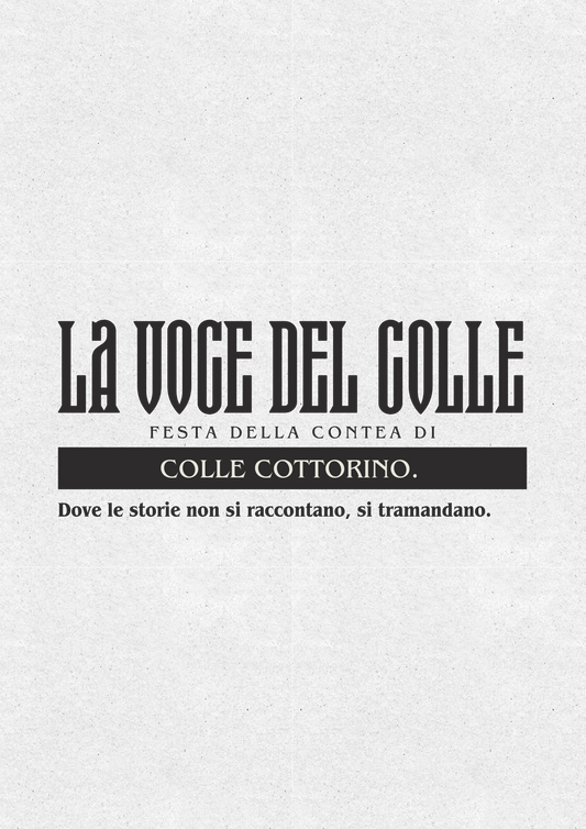 SkillzAdvisor alla Festa della Contea 2025: Un'Esperienza Musicale, Culturale e Generazionale