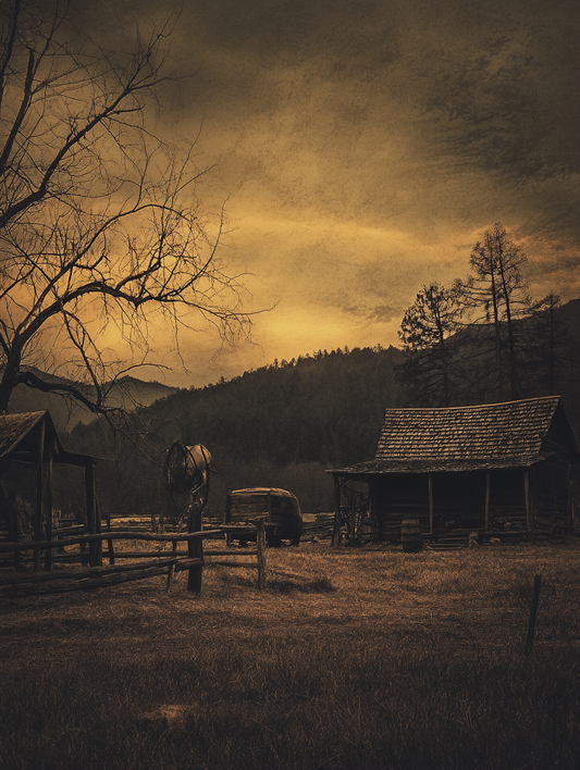 “Country Love” di Vagasbronzo: Il Primo Grande Esperimento di Country Italiano